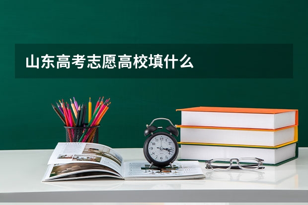 山东高考志愿高校填什么