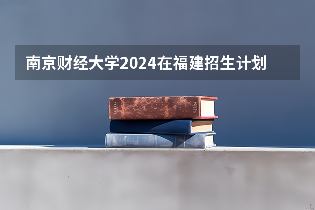 南京财经大学2024在福建招生计划