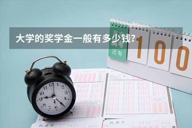 大学的奖学金一般有多少钱？