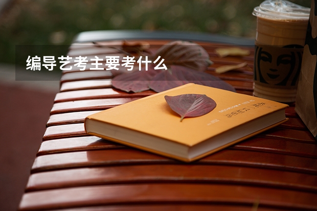 编导艺考主要考什么
