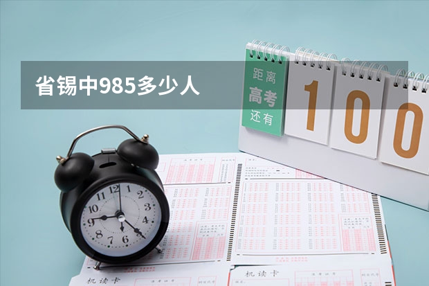 省锡中985多少人