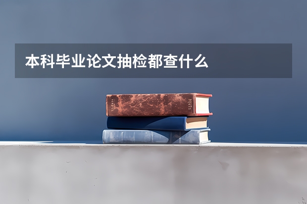 本科毕业论文抽检都查什么