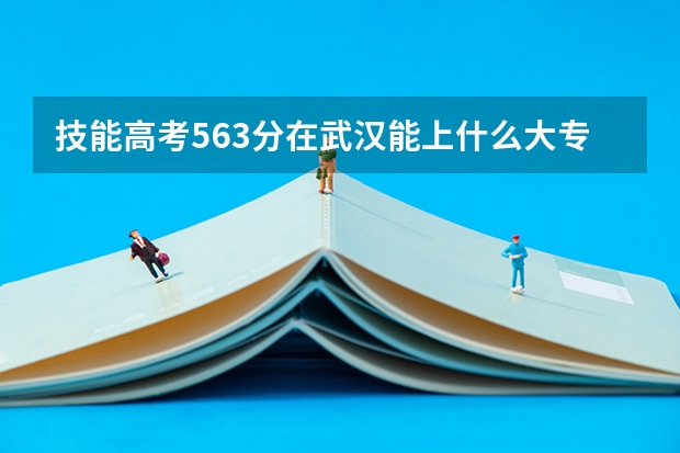 技能高考563分在武汉能上什么大专