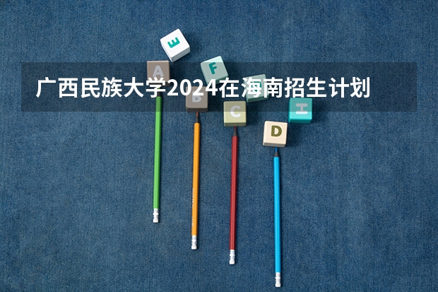 广西民族大学2024在海南招生计划