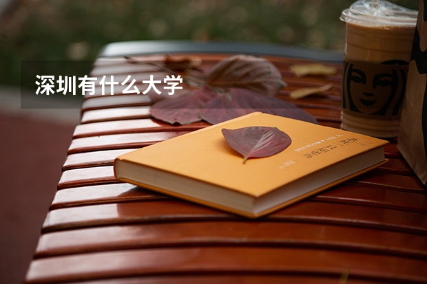 深圳有什么大学