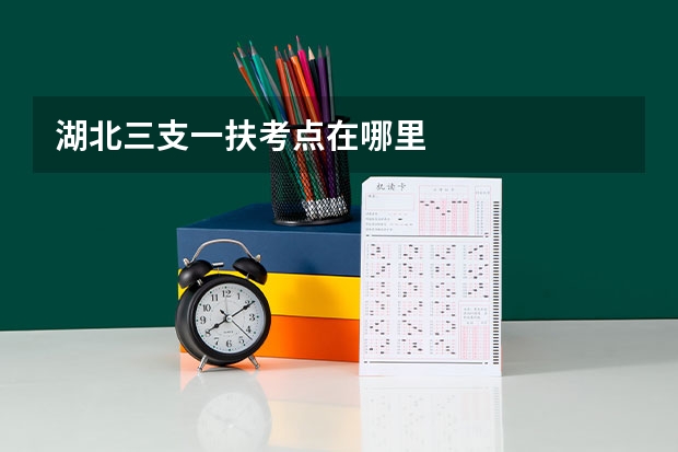 湖北三支一扶考点在哪里