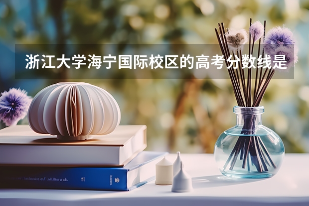 浙江大学海宁国际校区的高考分数线是多少？