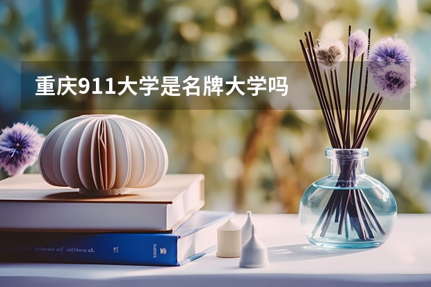 重庆911大学是名牌大学吗