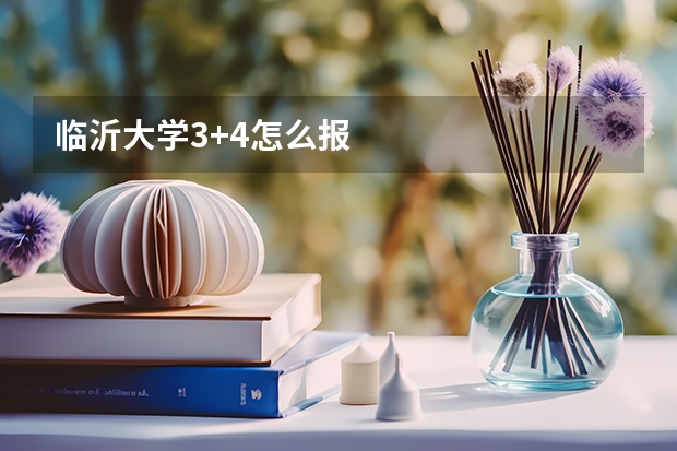 临沂大学3+4怎么报
