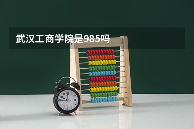 武汉工商学院是985吗