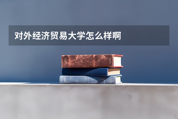 对外经济贸易大学怎么样啊