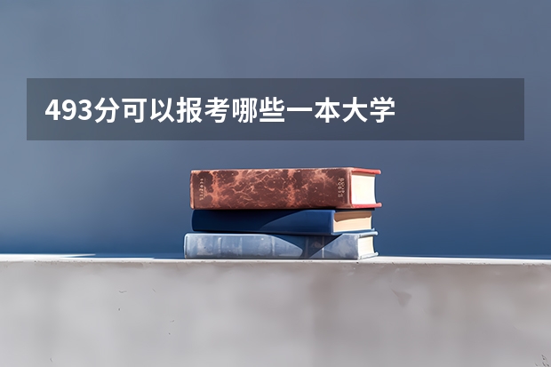 493分可以报考哪些一本大学