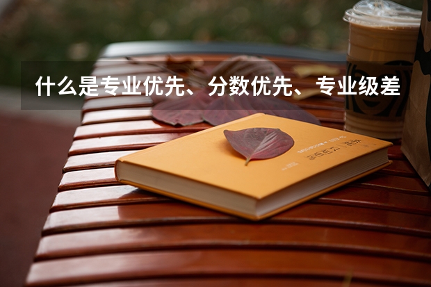 什么是专业优先、分数优先、专业级差”