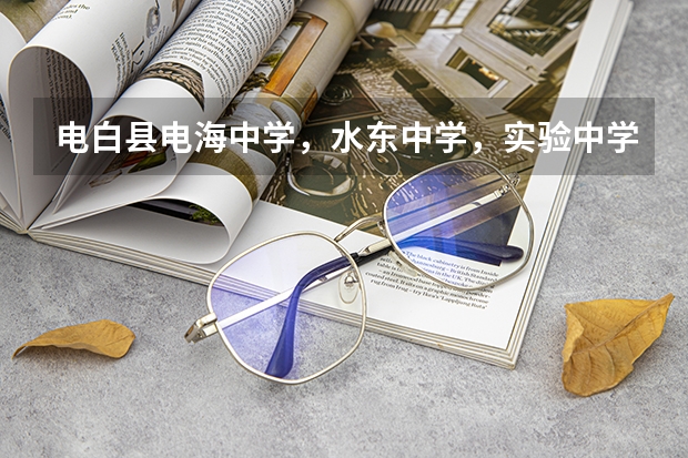 电白县电海中学，水东中学，实验中学均衡学校分数线是多少?