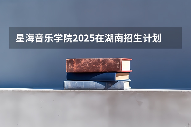 星海音乐学院2025在湖南招生计划预测