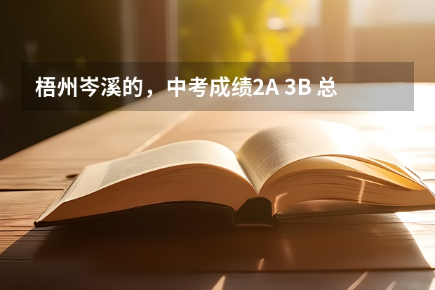 梧州岑溪的，中考成绩2A 3B 总评B+，不知道能不能进示范高中，岑中，二中录取分数线是多少，岑溪市今年...