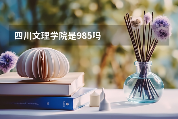 四川文理学院是985吗