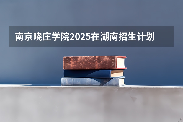 南京晓庄学院2025在湖南招生计划预测