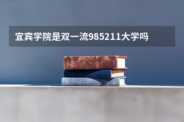 宜宾学院是双一流/985/211大学吗?历年分数线介绍