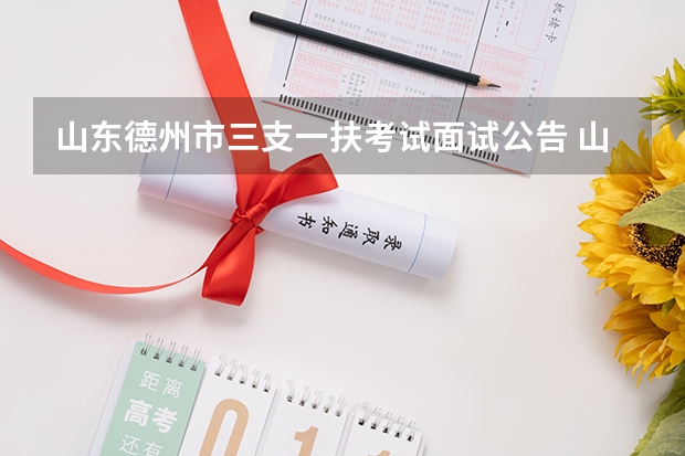 山东德州市三支一扶考试面试公告 山东德州乐陵市事业单位招聘考试报名条件