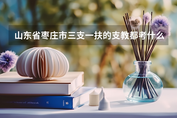 山东省枣庄市三支一扶的支教都考什么内容？和教师招聘的内容一样吗？急求详细答案！！！！