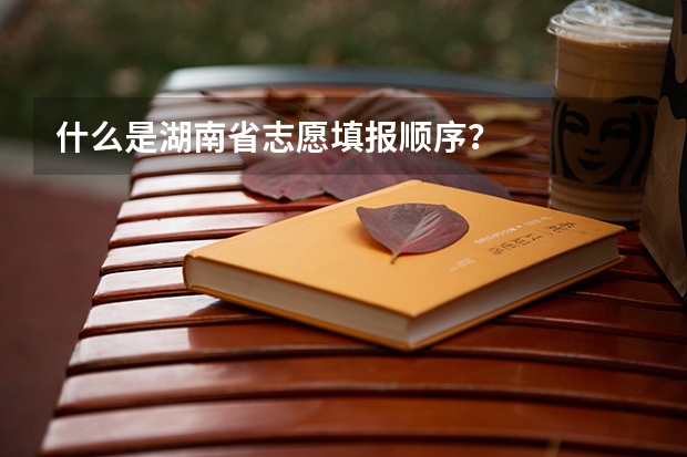 什么是湖南省志愿填报顺序？
