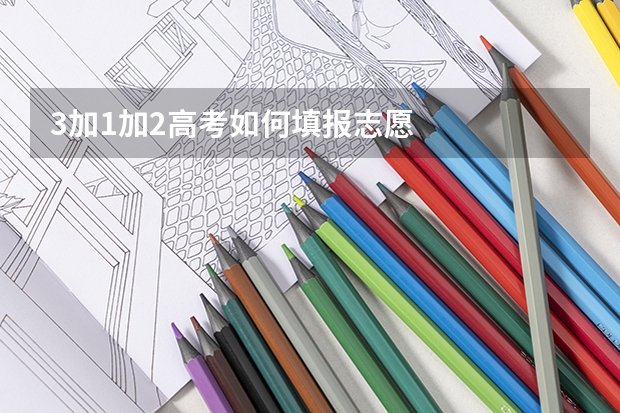 3加1加2高考如何填报志愿
