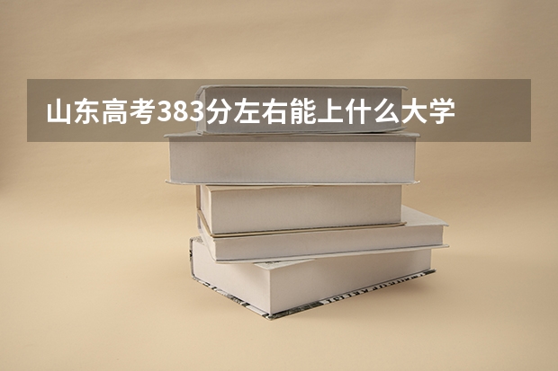 山东高考383分左右能上什么大学