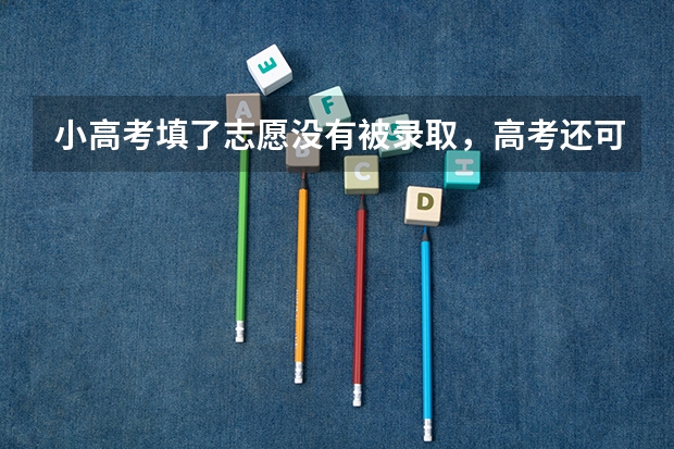 小高考填了志愿没有被录取，高考还可以填专科志愿吗