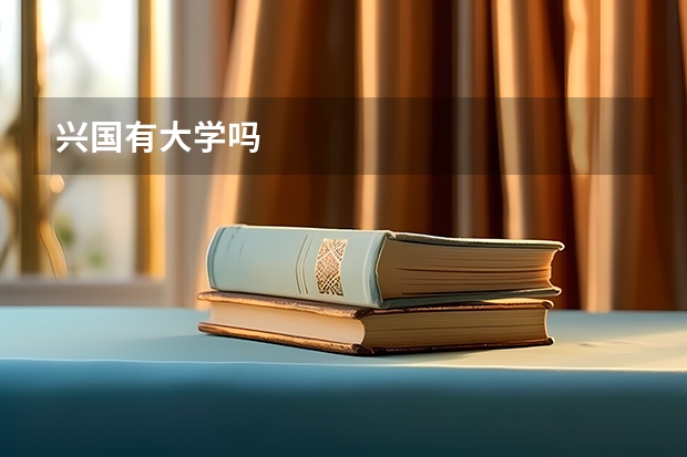 兴国有大学吗