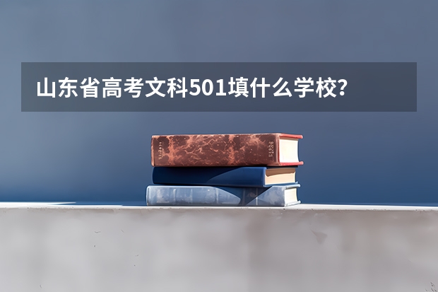 山东省高考文科501填什么学校？