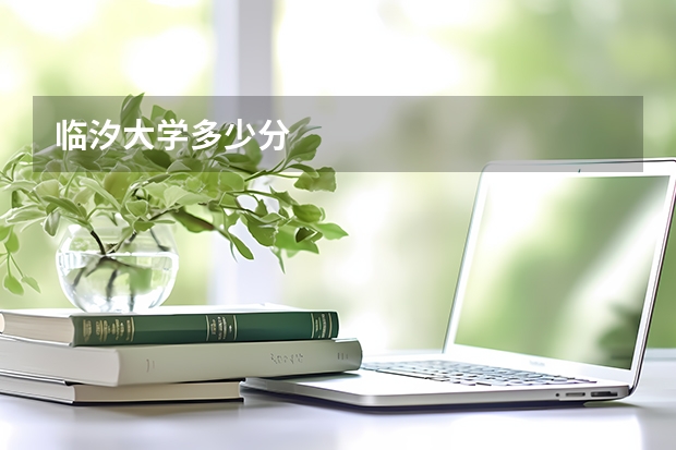 临汐大学多少分