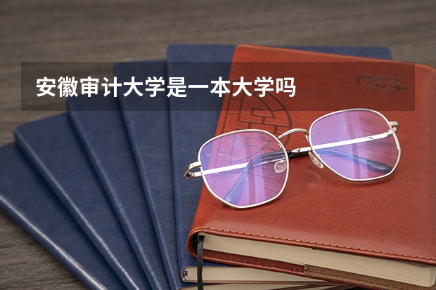安徽审计大学是一本大学吗
