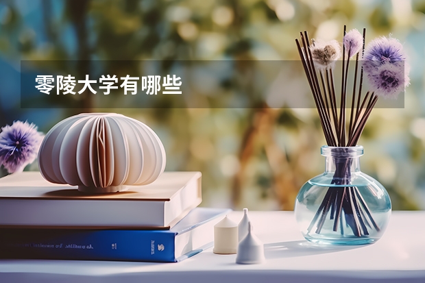 零陵大学有哪些