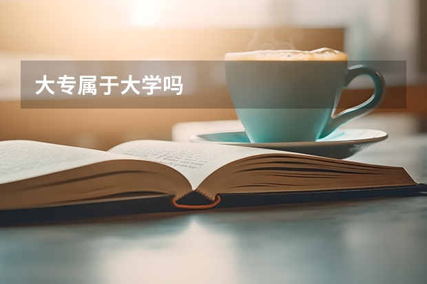 大专属于大学吗