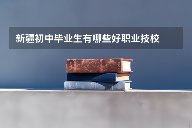 新疆初中毕业生有哪些好职业技校