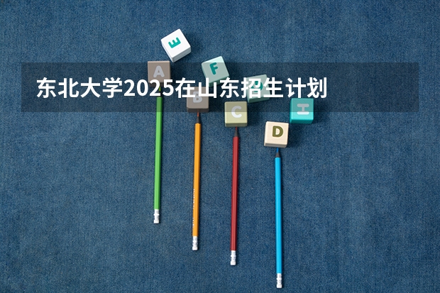 东北大学2025在山东招生计划