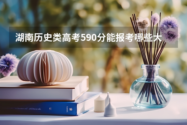 湖南历史类高考590分能报考哪些大学