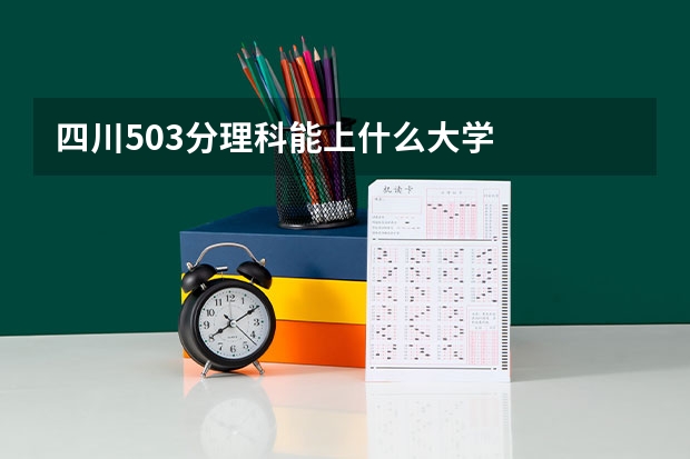 四川503分理科能上什么大学
