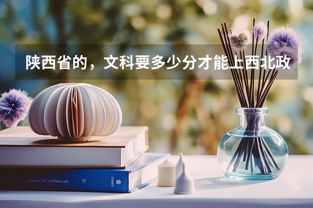 陕西省的，文科要多少分才能上西北政法大学