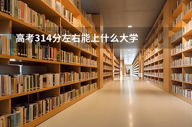 高考314分左右能上什么大学