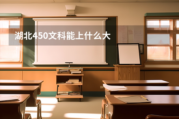 湖北450文科能上什么大