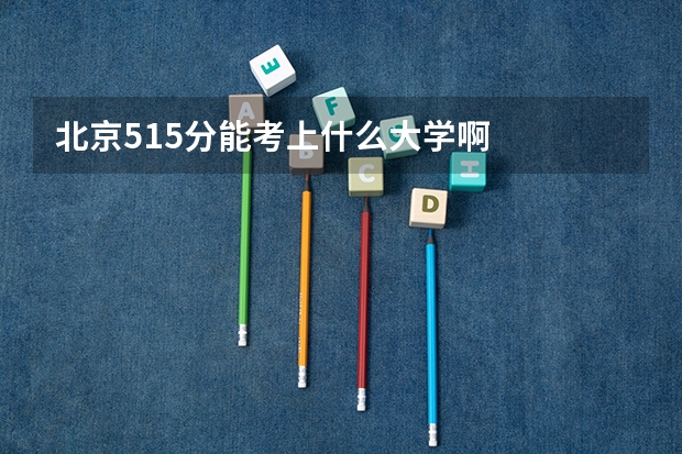 北京515分能考上什么大学啊