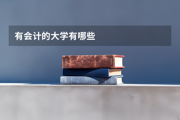 有会计的大学有哪些