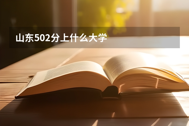 山东502分上什么大学