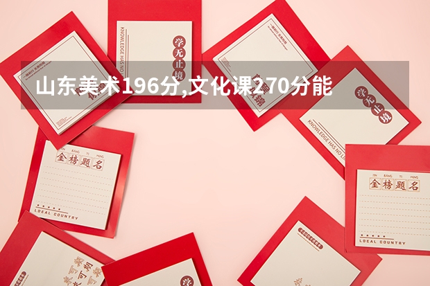 山东美术196分,文化课270分能上什么大学