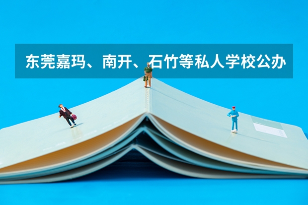 东莞嘉玛、南开、石竹等私人学校公办生的录取分数线是多少？