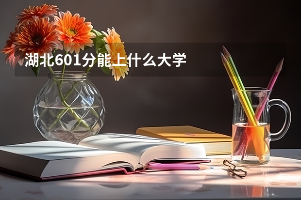 湖北601分能上什么大学