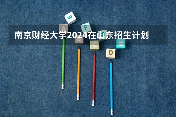 南京财经大学2024在山东招生计划