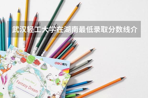 武汉轻工大学在湖南最低录取分数线介绍